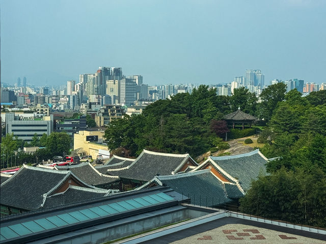 서울 신라호텔 그랜드 코너 디럭스룸 숙박 후기: 업그레이드부터 수영장까지 만족도 높았어요 