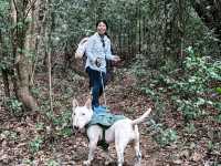 🌲【高黎貢山 · 穿越雲端的原始之境】