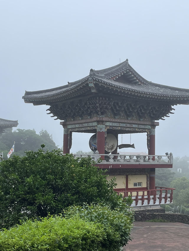 제주도 비오면 어떻게 놀지?🏝️