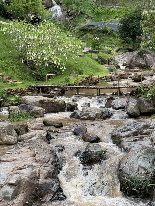 คาเฟ่เชียงใหม่ที่ไม่ควรพลาดต้องที่นี่ WTF Cafe ⛰️