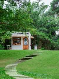 Favor Field Cafe