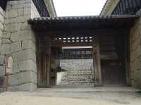 🏯 A Majestic Journey Through Time at Matsuyama Castle