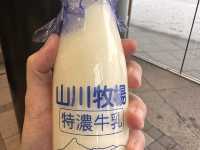 【燒味控天堂🔥】排隊也要吃到的北海道烤雞傳奇──長谷川商店