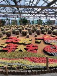 Amazing collections of flowers @ Beijing Garden of World's Flowers
