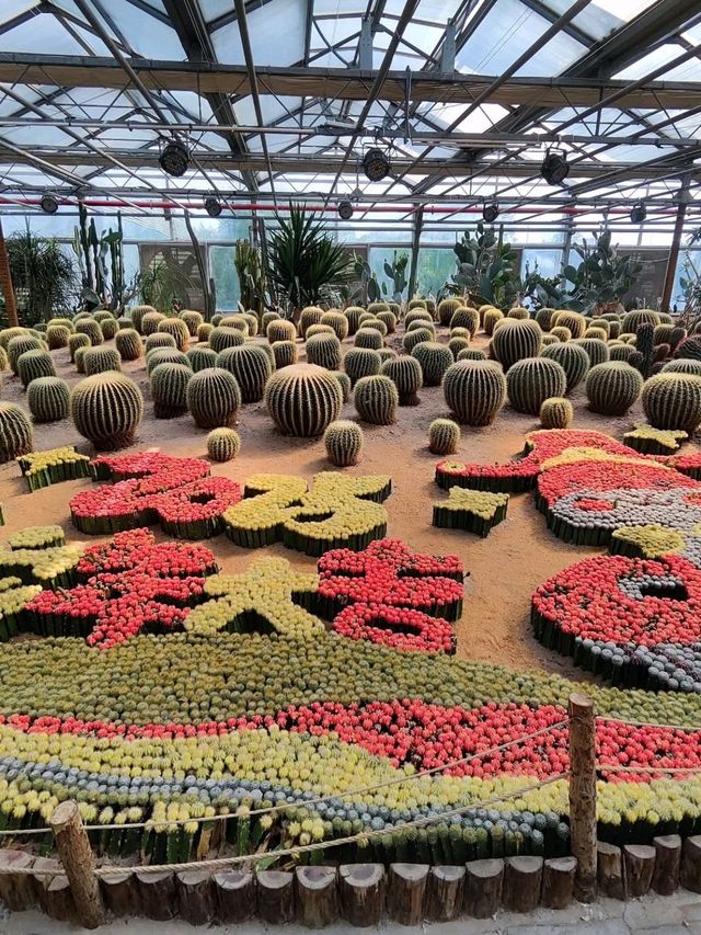 Amazing collections of flowers @ Beijing Garden of World's Flowers