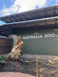 Australia Zoo 🦘🇦🇺🐨