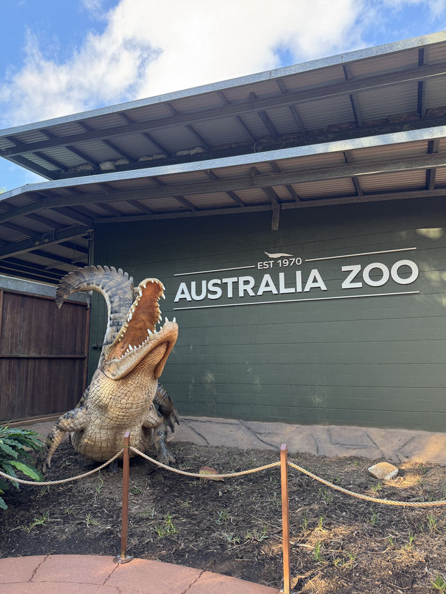 Australia Zoo 🦘🇦🇺🐨