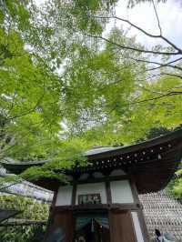 六月限定的長谷寺太夢幻了！