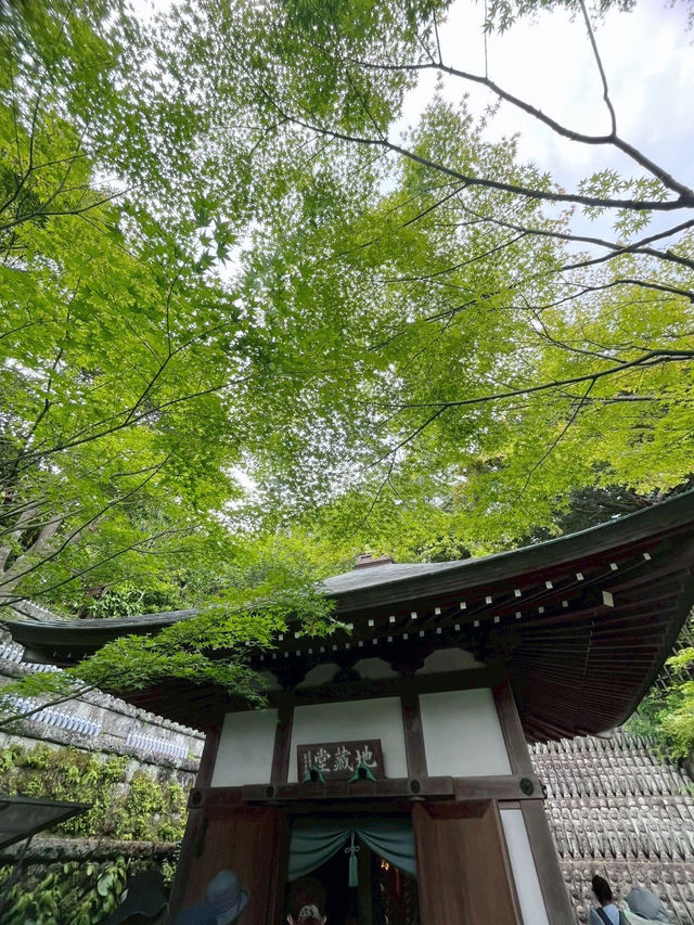 六月限定的長谷寺太夢幻了！