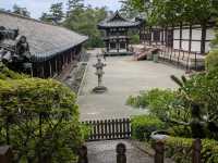 奈良 | 唐招提寺，走訪千年古剎