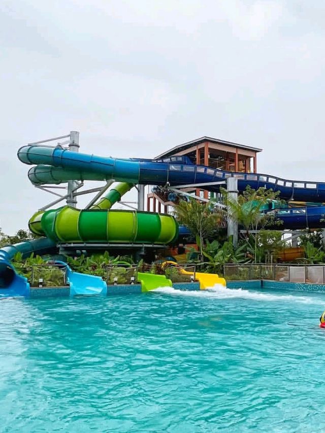 🌈💦 Get Ready to Scream, Splash & Smile – SplashMania at Gamuda Cove! 🎢🌴