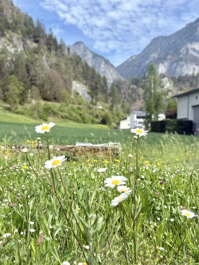 🇩🇪 萊茵河徒步攻略｜享受歐洲最美河谷的慢行體驗