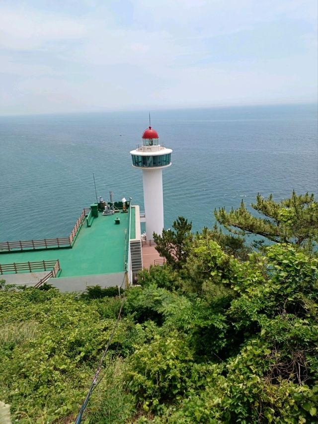 유쾌한 태종대 여행
