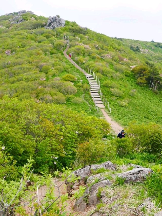 Hiked Gukmangbong Peak