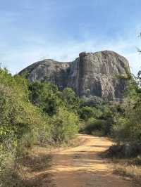 Fall in Love at Yala National Park 