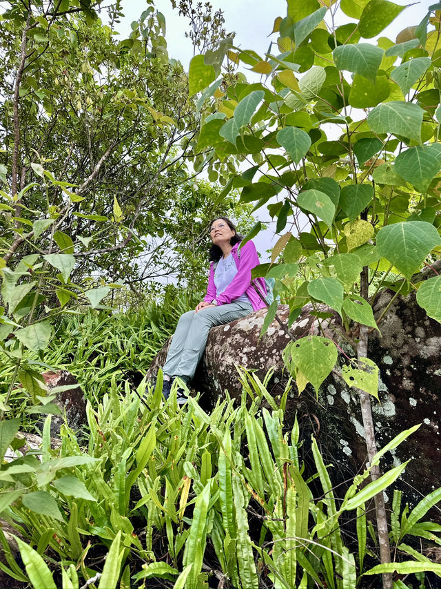 ภูหินร่องกล้าหน้าฝน สวยตะลึง