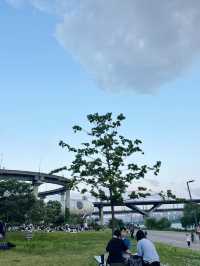 ปิกนิกที่สวนตุกซอม (Ttukseom Hangang Park) 🧺