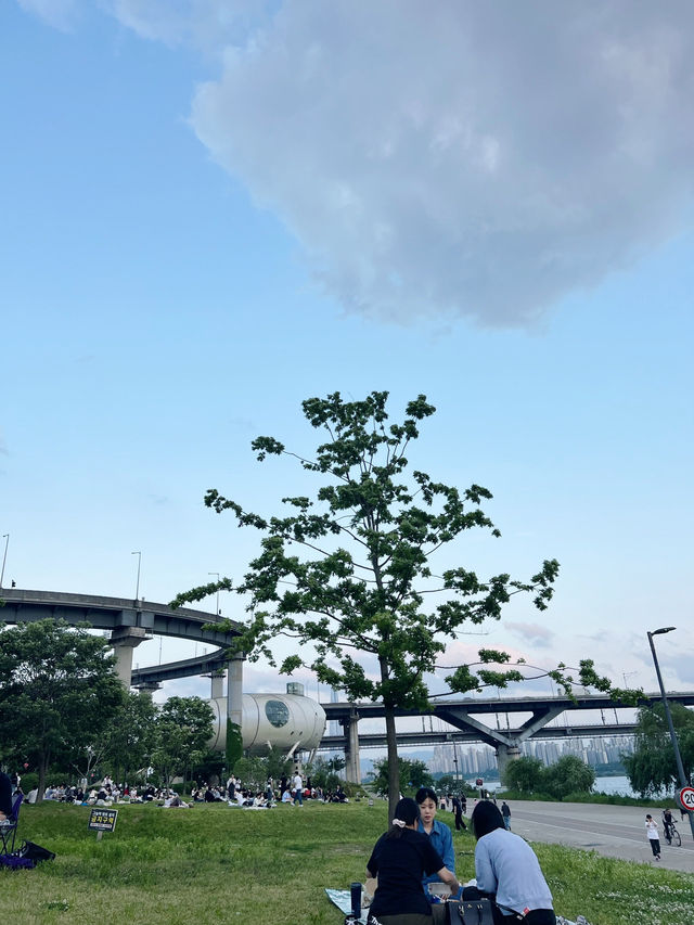 ปิกนิกที่สวนตุกซอม (Ttukseom Hangang Park) 🧺