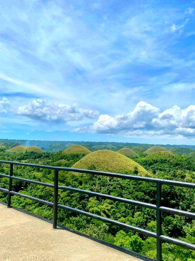 Sweet Views at Chocolate Hills
