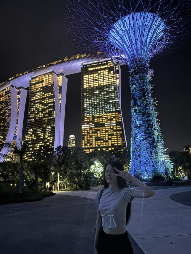 แชร์ประสบการณ์เที่ยว Gardens by the Bay @สิงคโปร์