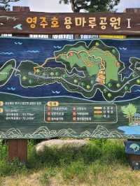 영주호를 가로질러볼수있는 💙용마루공원