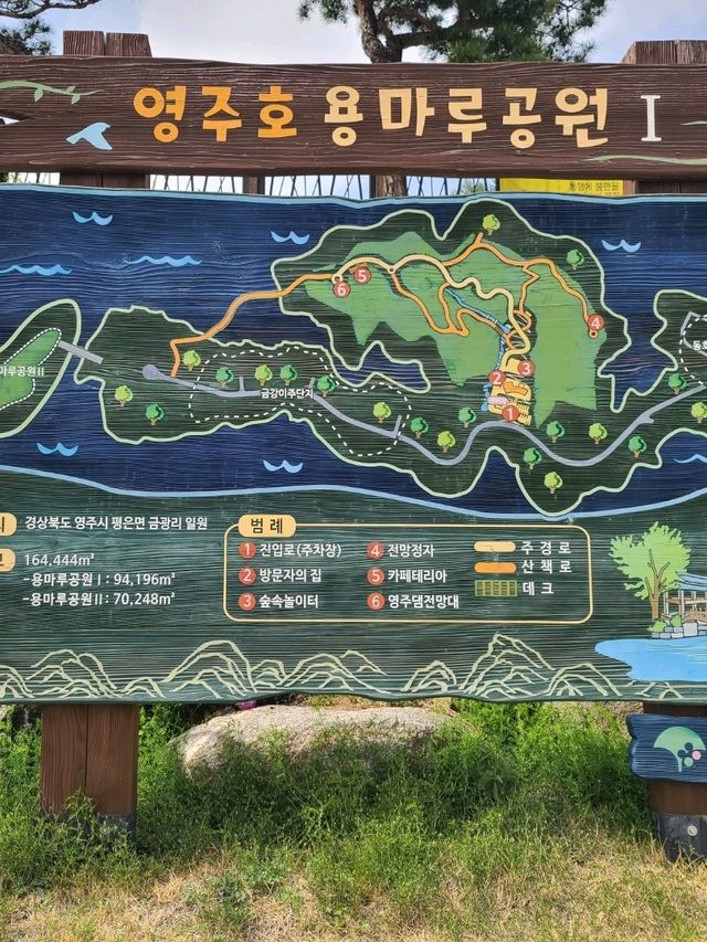 영주호를 가로질러볼수있는 💙용마루공원
