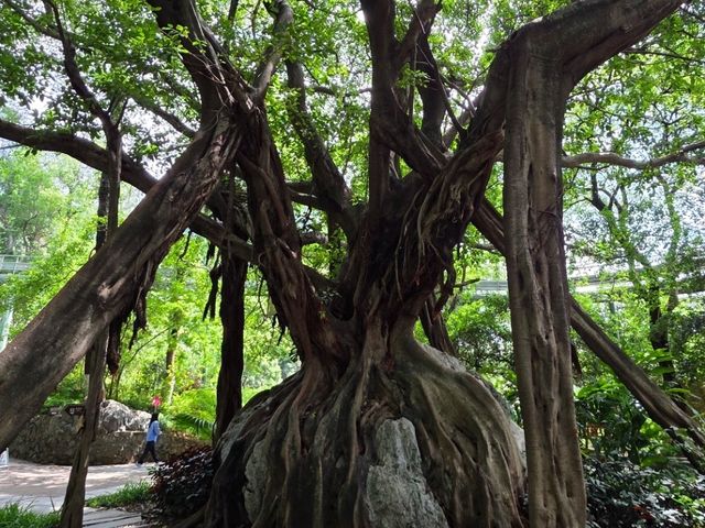 A portal into nature's works of art