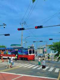 여름 하루 여행일정으로 청사포 강력추천🚃