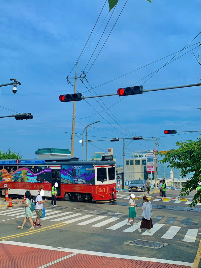 여름 하루 여행일정으로 청사포 강력추천🚃