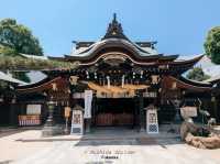 Kushida Shrine | Fukuoka
