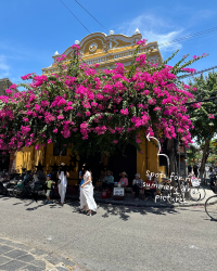 [Vietnam 🇻🇳 Hoi An: Vietnam's Enchanting Lantern Town!