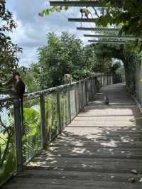 Finding things to do in Singapore? or where to go? 