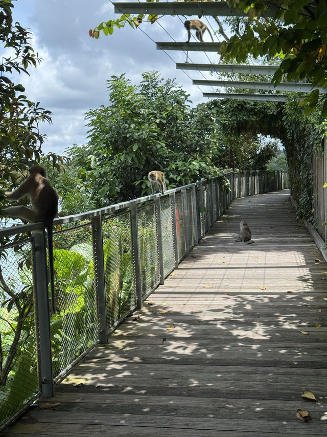 Finding things to do in Singapore? or where to go? 