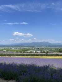 富田農場