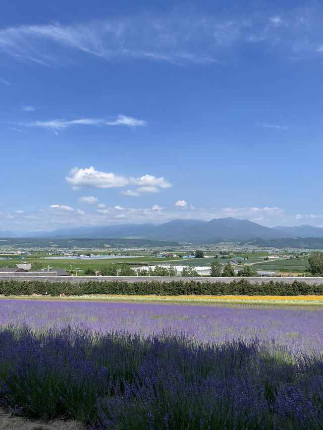 富田農場
