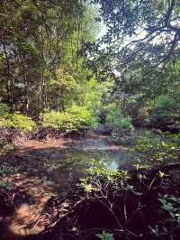 Summer Trip Itinerary – 2 Days in Sitiawan & Surroundings