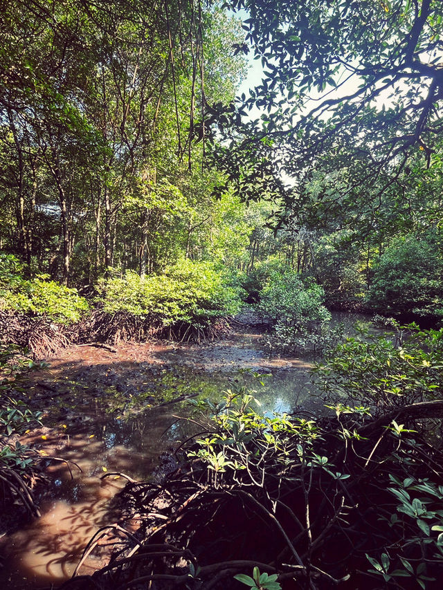 Summer Trip Itinerary – 2 Days in Sitiawan & Surroundings