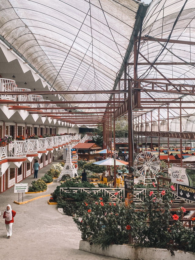 Strawberries, Souvenirs & Highland Vibes at Kea Farm 🍓
