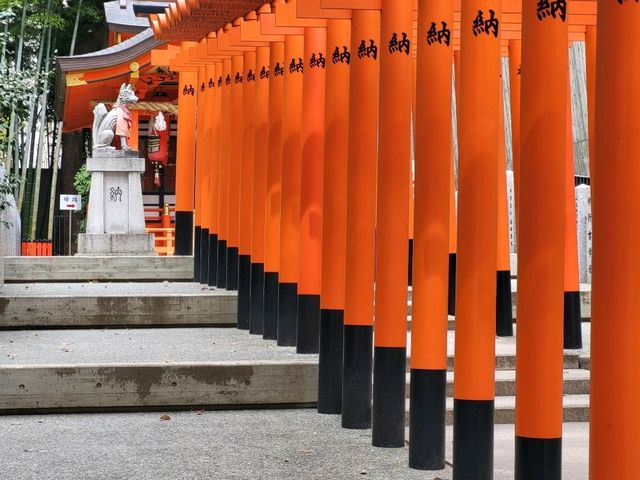 神戶鬧區內的櫻花秘境/生田神社