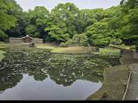 🍁東京・後楽園｜小石川後楽園｜都心のオアシスで、日本と中国の美が融合する庭園散歩🌿✨