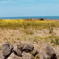 Perfect for Families and Gentle Recreation by the Sea