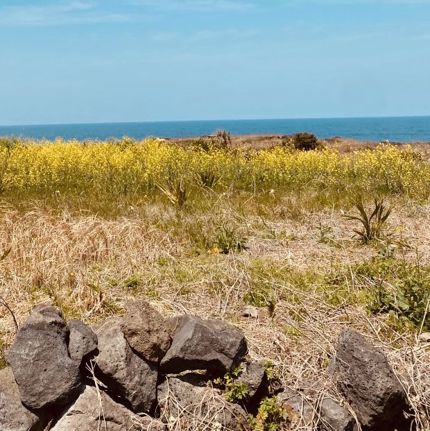 Perfect for Families and Gentle Recreation by the Sea