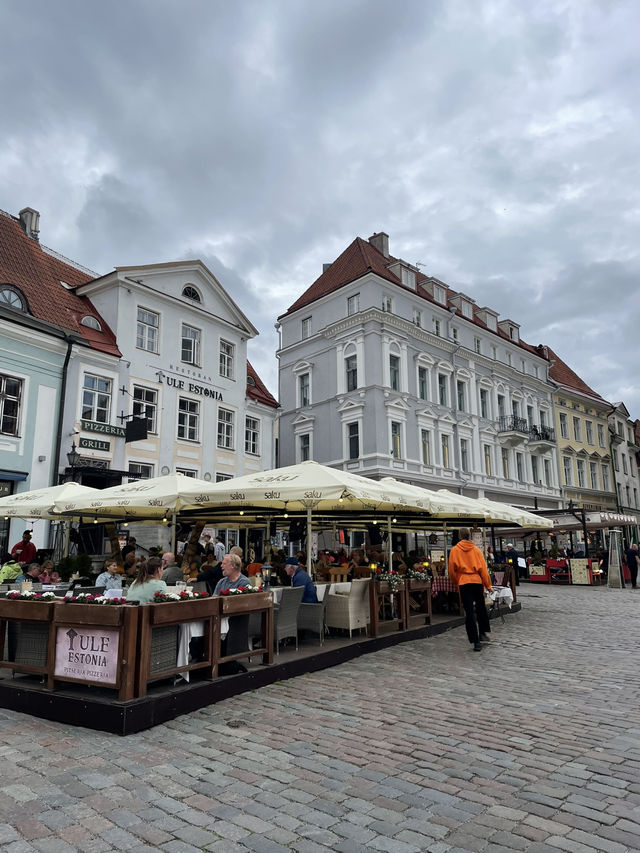 🛳️✨ 헬싱키에서 떠나는 동화 속 하루 여행 Tallinn 당일치기 투어 가이드 🇪🇪💙