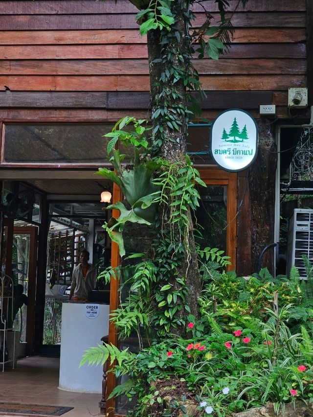 สมศรี มีกาแฟ  Somsee mee kafe บ้านปางไฮ