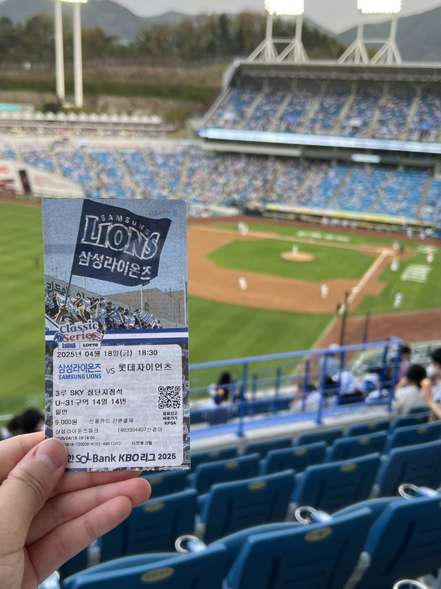 야알못도 반한 대구 야구장! 블루존 vs 스카이석 어디가 더 좋을까?