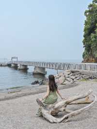 まるでジブリ！東京湾最大の無人島『猿島』🏝️