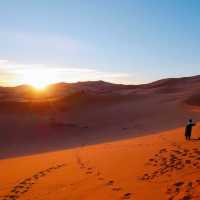 【大地の洗礼】サハラ砂漠🏜️