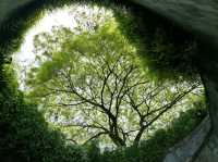 🌳 : Fort Canning Park เที่ยวสิงคโปร์ 