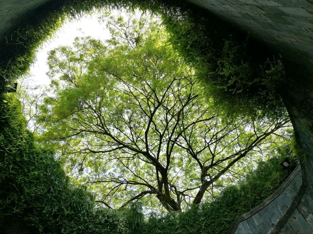 🌳 : Fort Canning Park เที่ยวสิงคโปร์ 