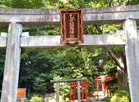 Tunnel of Vermilion Blessings, the Senbon Torii of Otome Inari Shrine